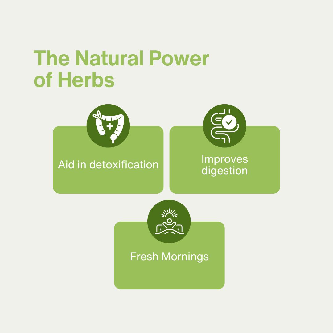Herbal Bowel Cleanser Mc Box 5G x 25 Sachets - BUY 2 GET 1 FREE