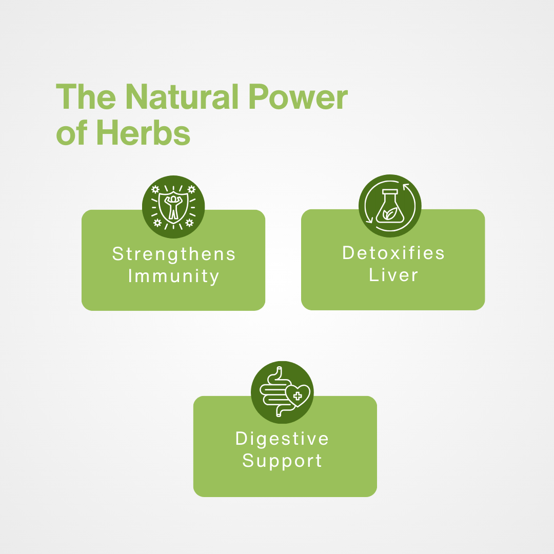 Amla Giloy Tablet (100 Tab)