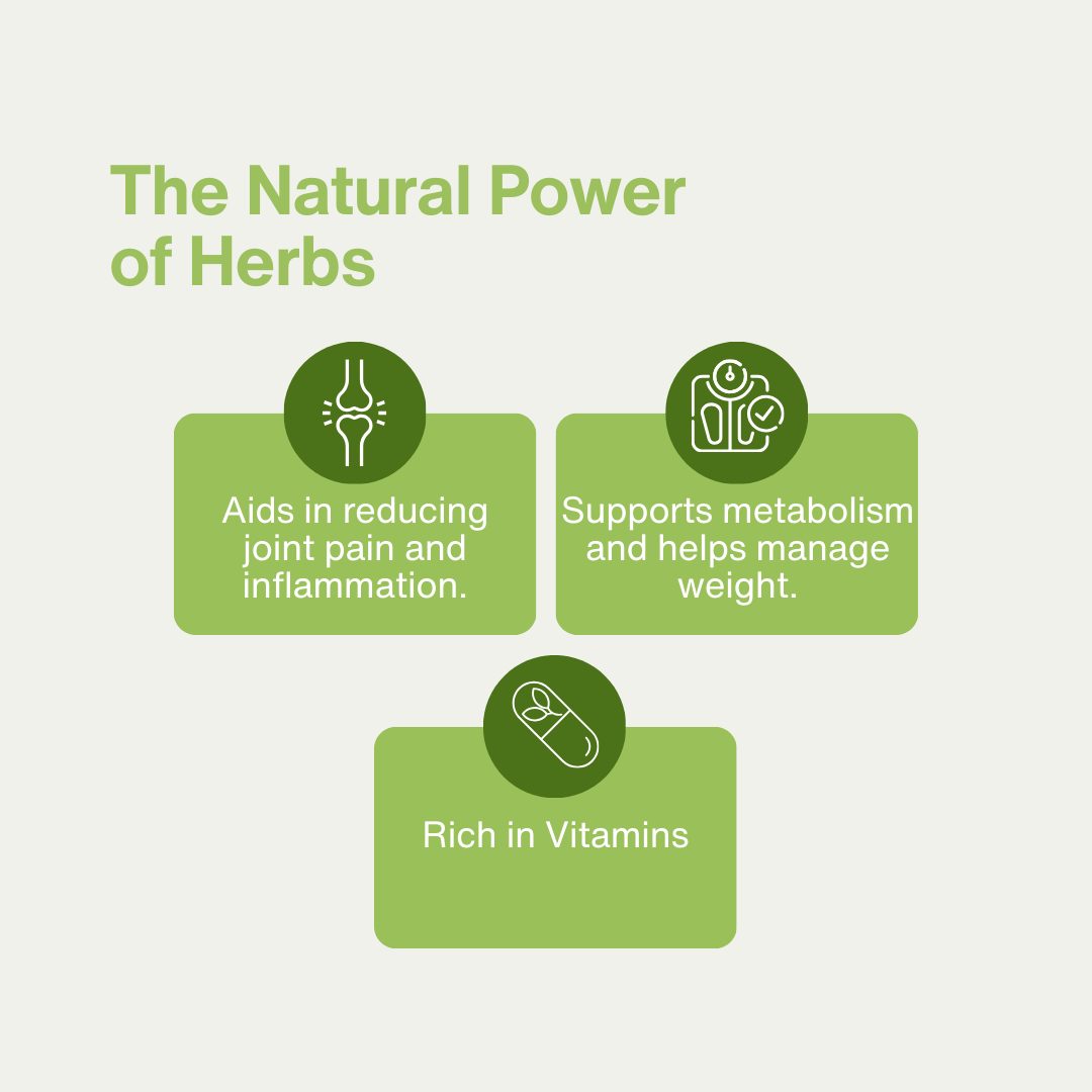 Moringa (Drumstick) Leaves Powder 100g