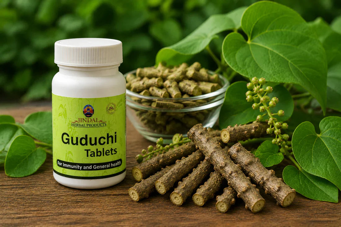 Guduchi: Nature's Answer to Holistic Wellbeing