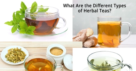 What Are the Different Types of Herbal Teas?