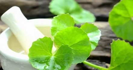 How Brahmi Helps Improve Mental Health?