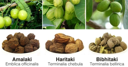 All You Should Know About Triphala Churna