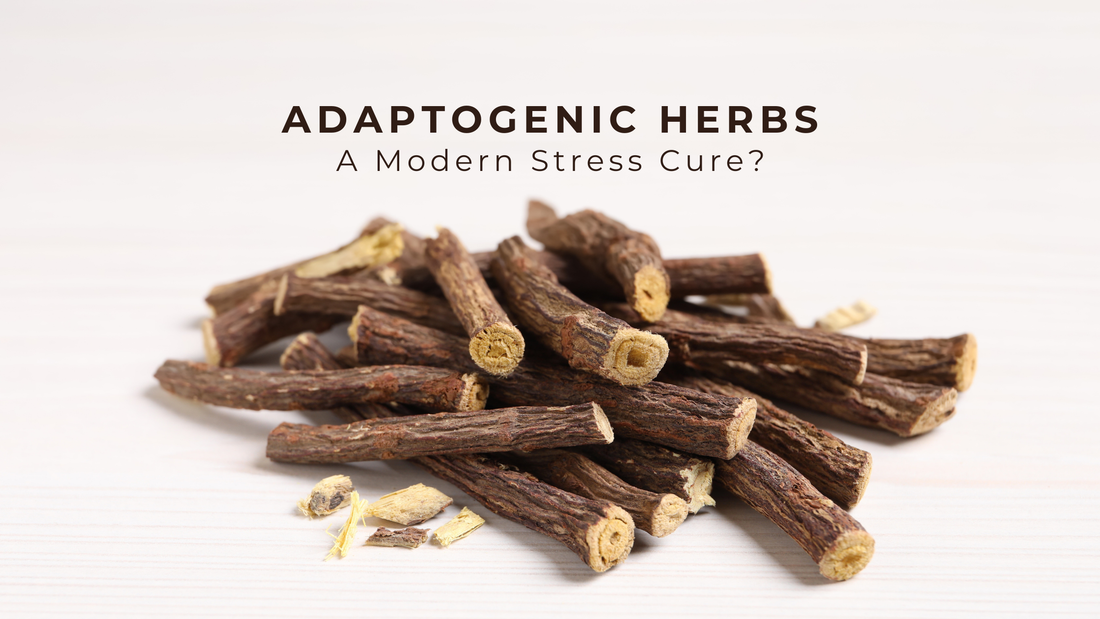 Adaptogenic Herbs: A Modern Stress Cure?