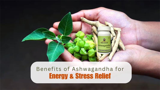 Benefits of Ashwagandha for Energy & Stress Relief
