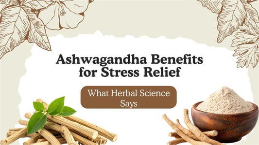 Ashwagandha Benefits for Stress Relief: What Herbal Science Says