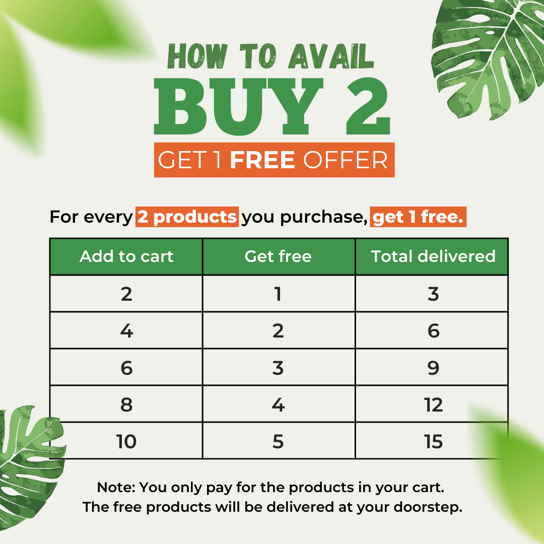Green Tea With Mint Mc Box 2g X 25 Sachets - BUY 2 GET 1 FREE
